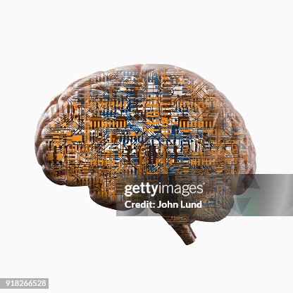 Human Brain With Artificial Intelligence Computer Circuitry Within Human Brain With Artificial Intelligence Computer Circuitry Within