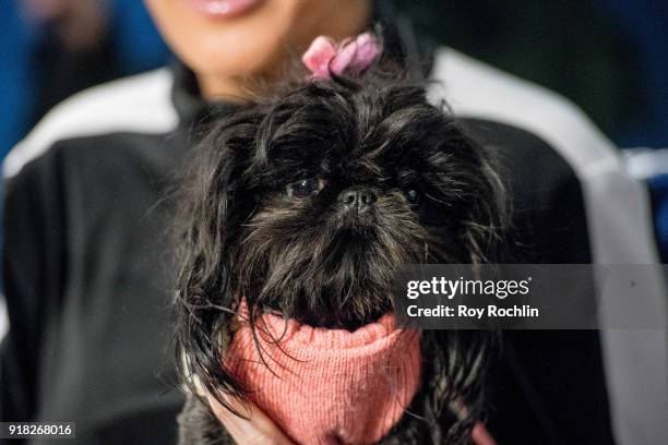 Jenny McCarthy with her dog D.J. Hosts the Jenny McCarthy show at SiriusXM Studios on February 14, 2018 in New York City.