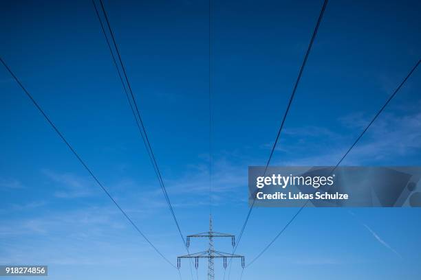 Power lines lead to the RWE Kraftwerk Westfalen coal-fired power plant on February 14, 2018 near Hamm, Germany. The plant uses bituminous coal and...