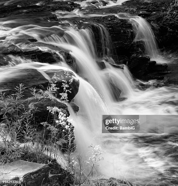 black and white waterfall - swift river stock pictures, royalty-free photos & images