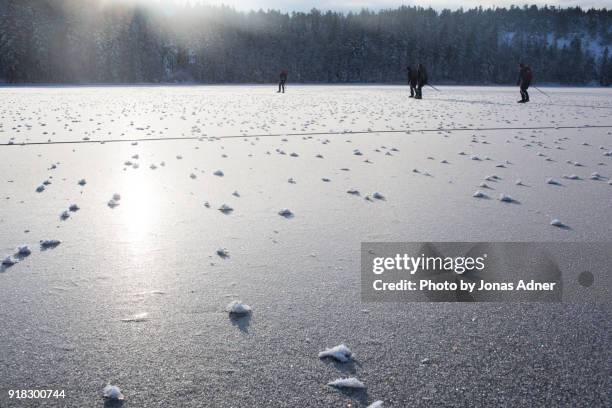 skaters on the ice - jonas adner ストックフォトと画像