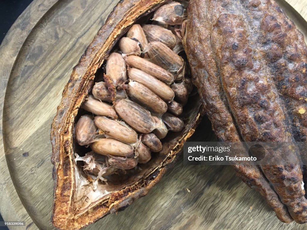 Cacao beans in a cacao pod