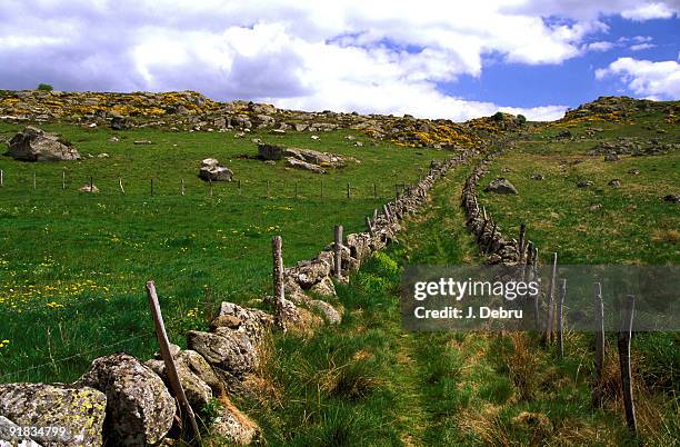 pathway up hillside in nasbinals, france - lozere stock-fotos und bilder