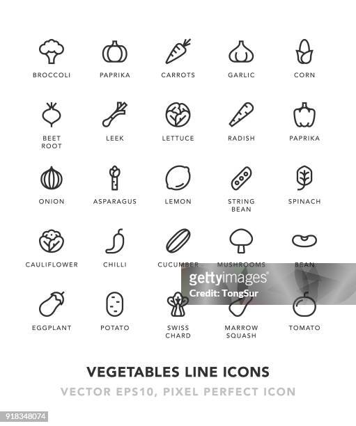 illustrations, cliparts, dessins animés et icônes de icônes de ligne de légumes - petits pois