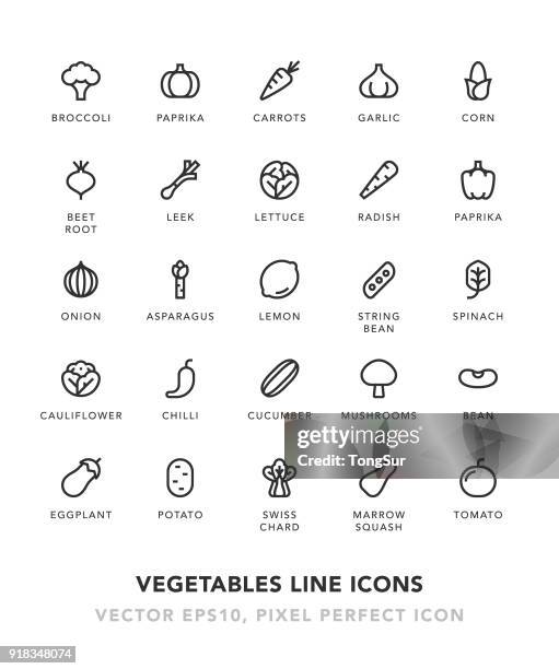 stockillustraties, clipart, cartoons en iconen met groenten lijn pictogrammen - asparagus