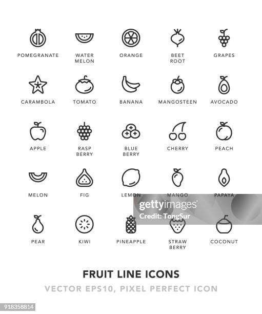 fruit line icons - mango fruit stock illustrations