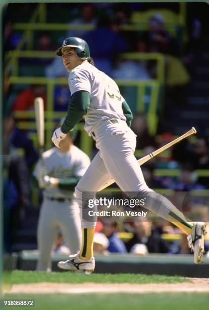 Jose Canseco of the Oakland Athletics bats during an MLB game against the Chicago White Sox at Comiskey Park in Chicago, Illinois during the 1988...