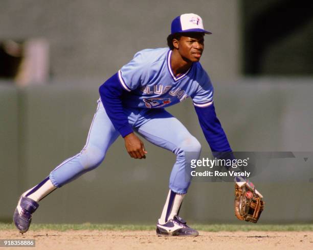 Tony Fernandez of the Toronto Blue Jays fields during an MLB game against the Chicago White Sox at Comiskey Park in Chicago, Illinois during the 1988...