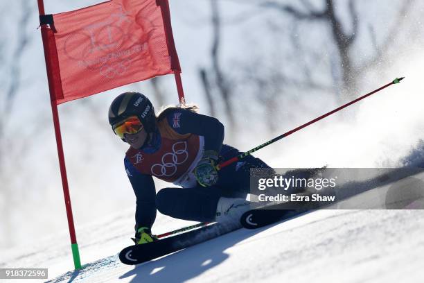 Alex Tilley of Great Britain competes during the Ladies' Giant Slalom on day six of the PyeongChang 2018 Winter Olympic Games at Yongpyong Alpine...
