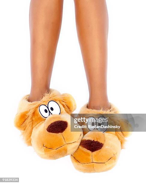 brown dog character slippers on feet - pantoffel stockfoto's en -beelden