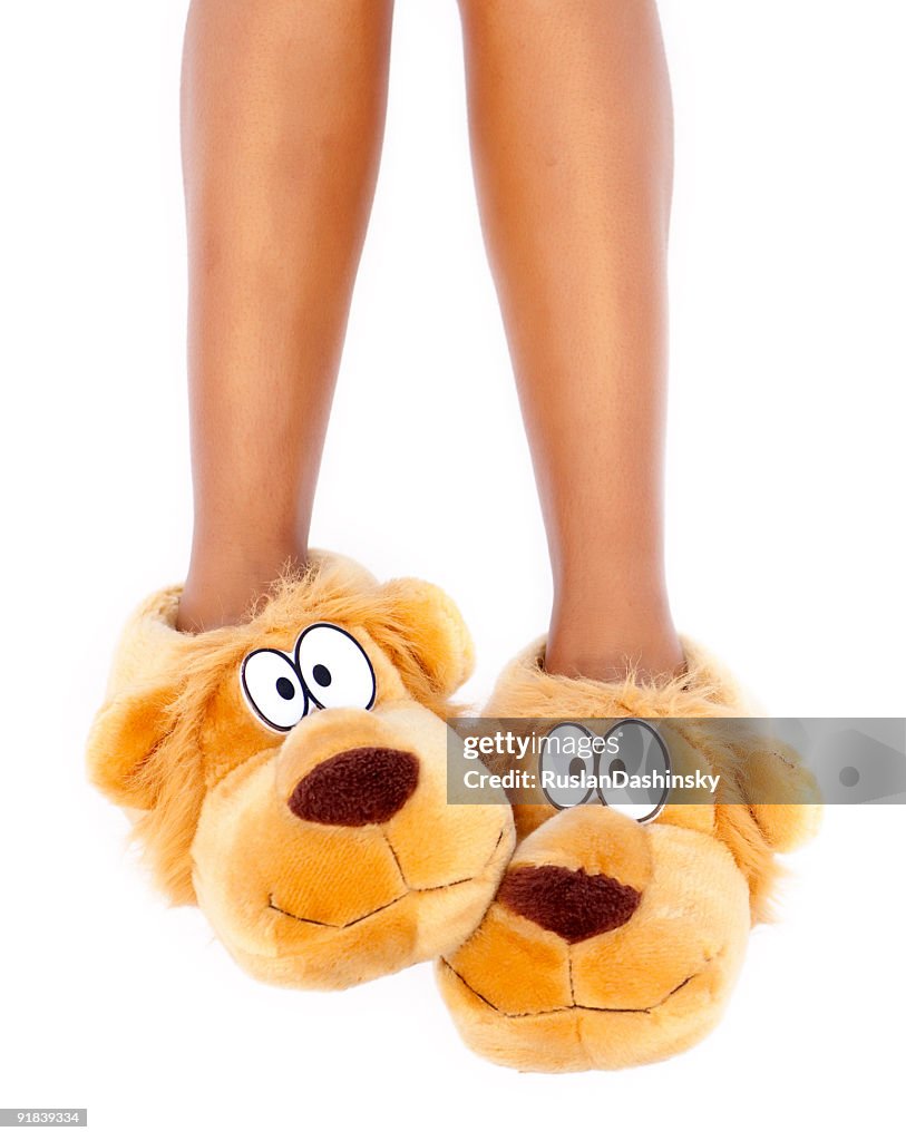 Brown dog character slippers on feet