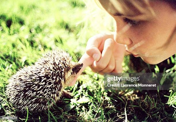 girl with hedgehog - hedgehog stock pictures, royalty-free photos & images