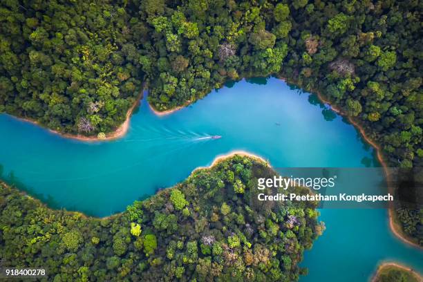 bird eye view of surat thani fly in the morning. - beauty in nature foto e immagini stock