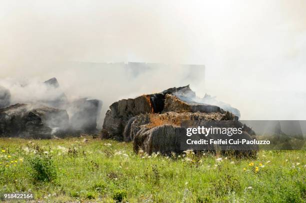 burning the old haystock near devils lake, north dakota, usa - devils lake state park stock pictures, royalty-free photos & images