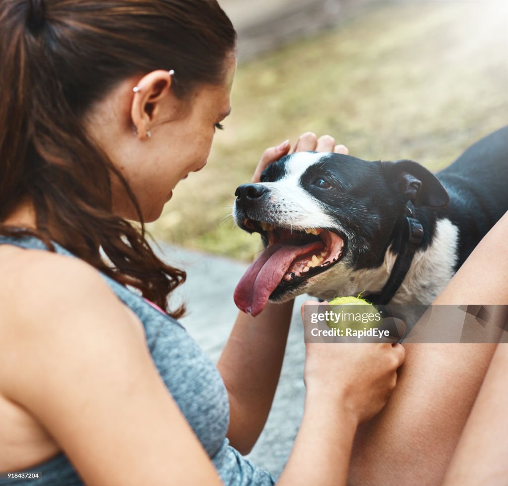 Keuchend aufgeregt wartet Besitzer, Ball werfen Staffie