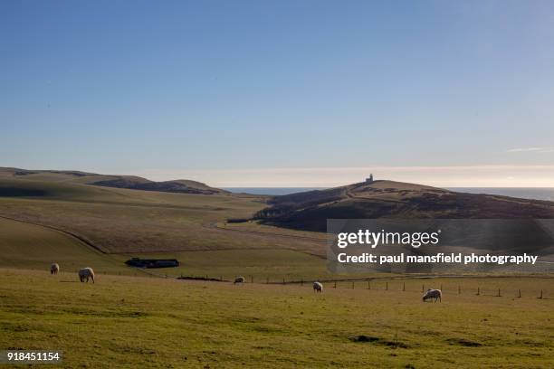 view of belle tout lighthouse on the south downs - belle tout lighthouse fotografías e imágenes de stock