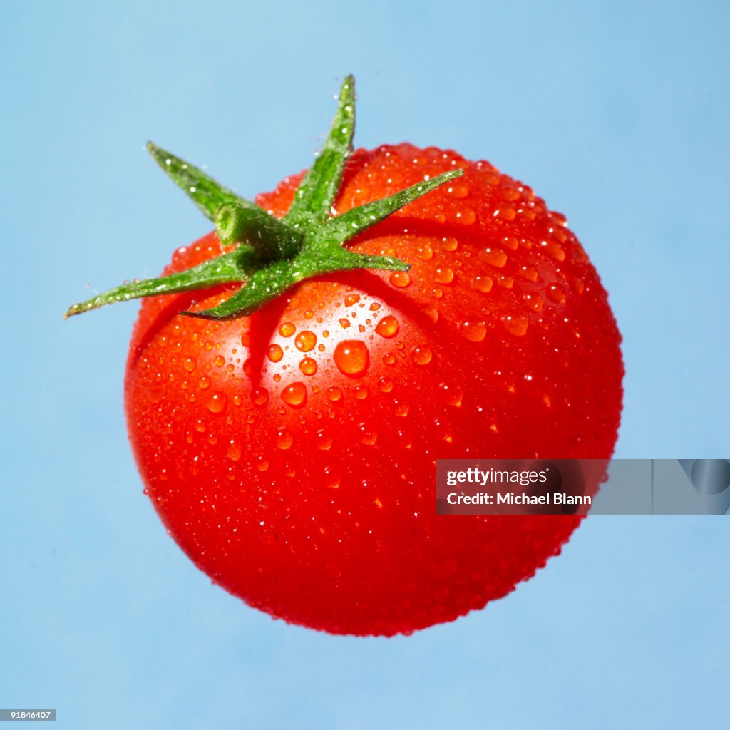Tomato
