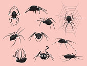 Spider Black Poses Cute Cartoon Vector Illustration