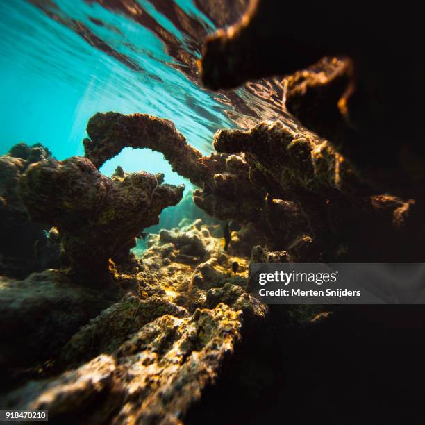 sunrise coral reef surface reflections inside fakarava lagoon - merten snijders stock-fotos und bilder