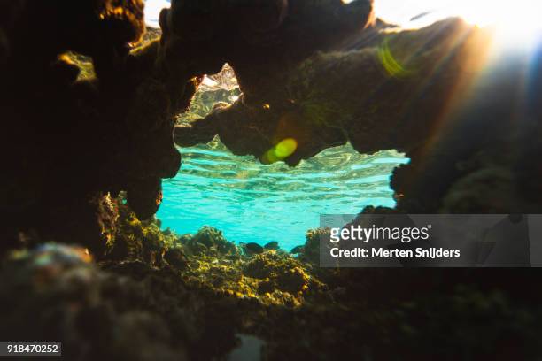 sunrise coral reef surface reflections inside fakarava lagoon - merten snijders stock pictures, royalty-free photos & images