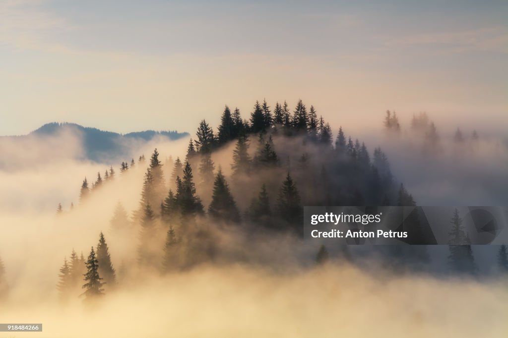 Foggy sunrise in the mountains in summer