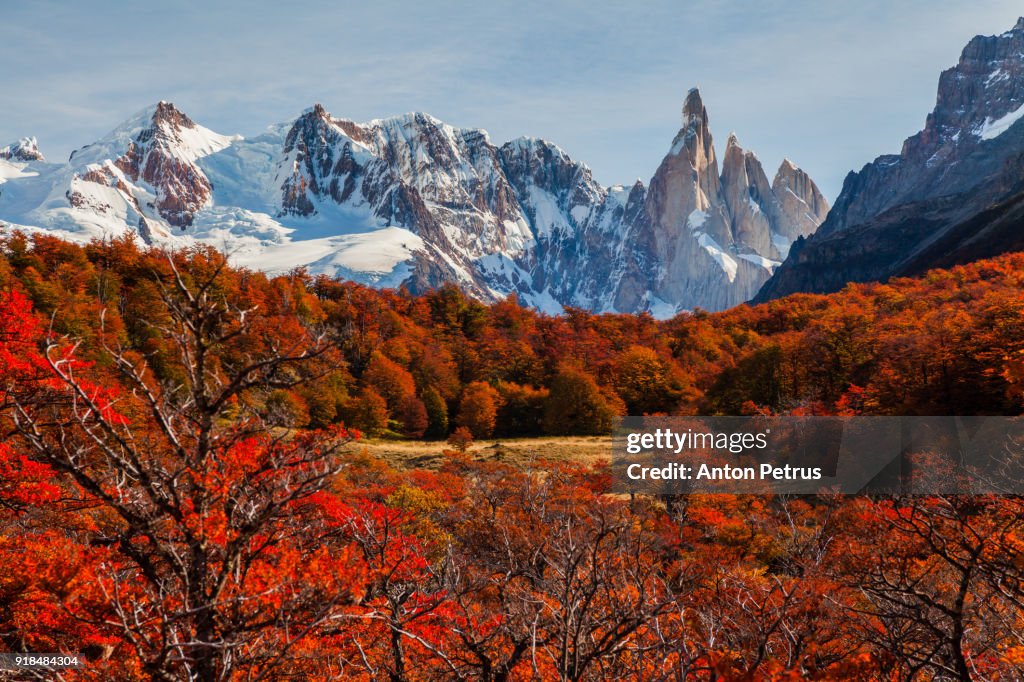 Beautiful autumn near Cerro Torre.  Patagonia, Argentina