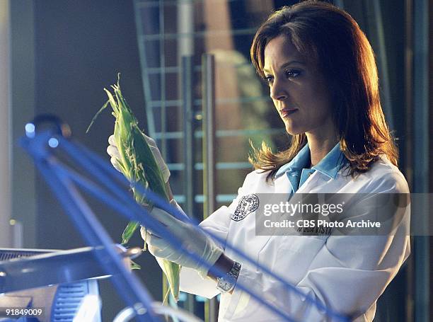 Bad Seed" -- The team must race against time to stop a deadly outbreak in Miami, on CSI: MIAMI, Monday, Oct.19th on the CBS Television Network....