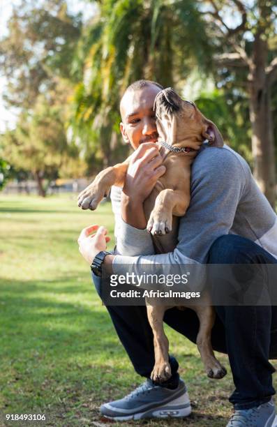 young man scratching his puppy's chest in the park. - boerboel stock pictures, royalty-free photos & images