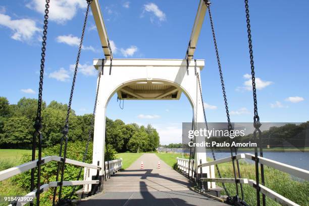 the old wooden bridge of bosbaan park in amsterdam - bosbaan photos et images de collection