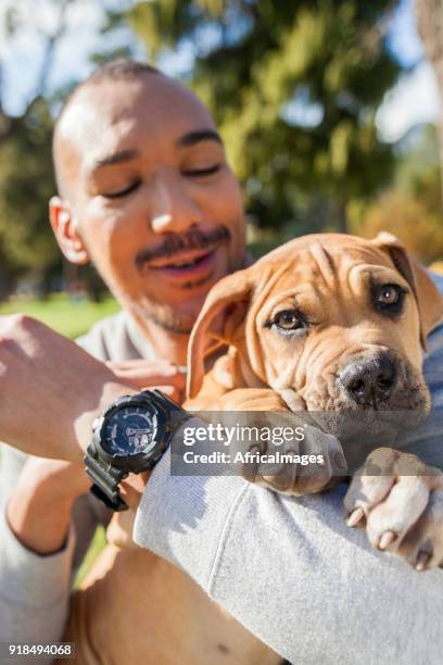 young man loving his puppy while playing at the park. - boerboel stock pictures, royalty-free photos & images