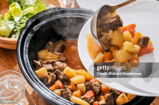slow cooker rindfleisch und gemüse-auflauf - schmorbraten stock-fotos und bilder