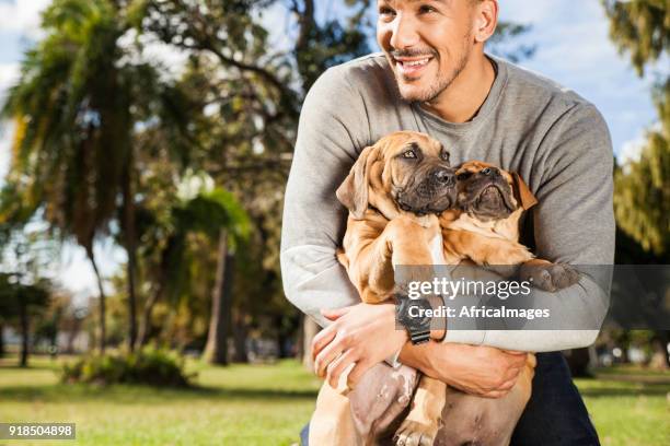 jonge man lief zijn schattige puppies tijdens het afspelen op het park. - boerboel stockfoto's en -beelden