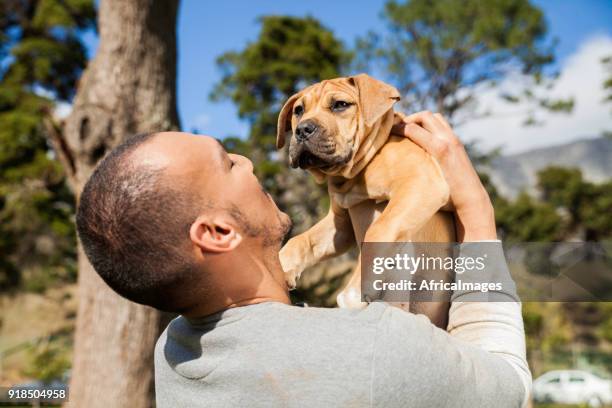 young man lifting his dog in the air while playing at the park. - boerboel stock pictures, royalty-free photos & images