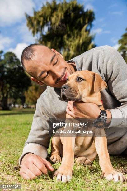 young man laying on the grass while cuddling his puppy at the park. - boerboel stock pictures, royalty-free photos & images