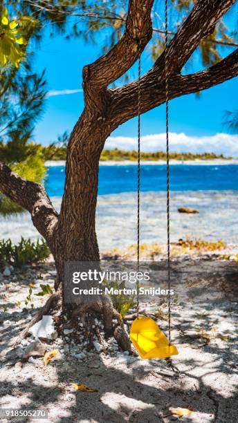 yellow swing hanging on tree at lagoon beach - merten snijders stock pictures, royalty-free photos & images