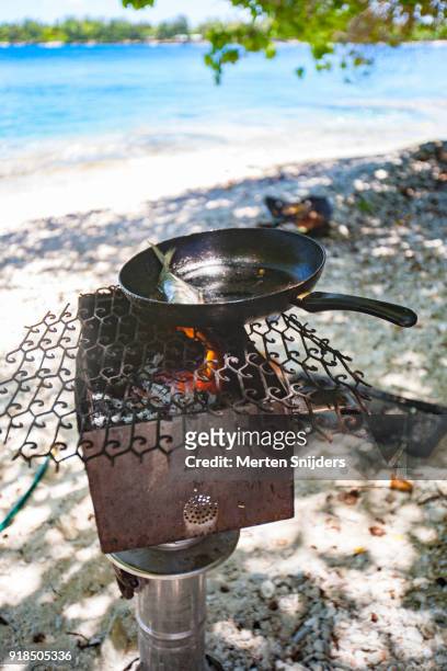 fish fry on the beach below a tree - merten snijders stock-fotos und bilder