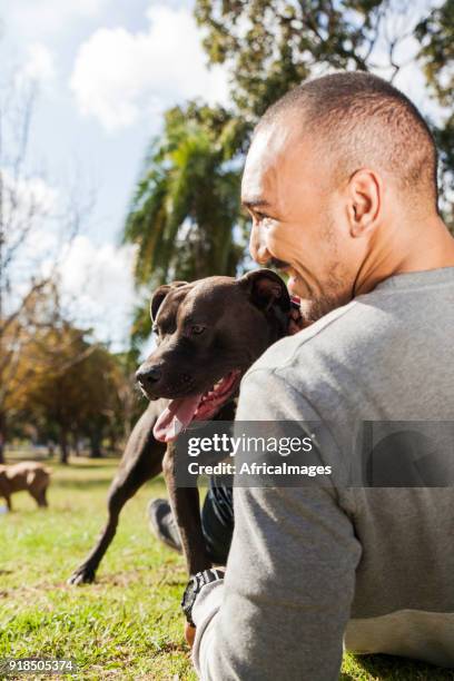 young man playing his pit bull on the grass at the park. - african pit bull stock pictures, royalty-free photos & images