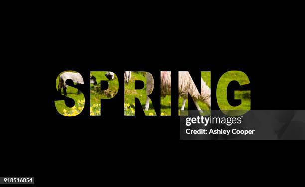 Spring Wprd 251 Spring Word Art Stock Photos, High-Res Pictures, and Images - Getty ...
