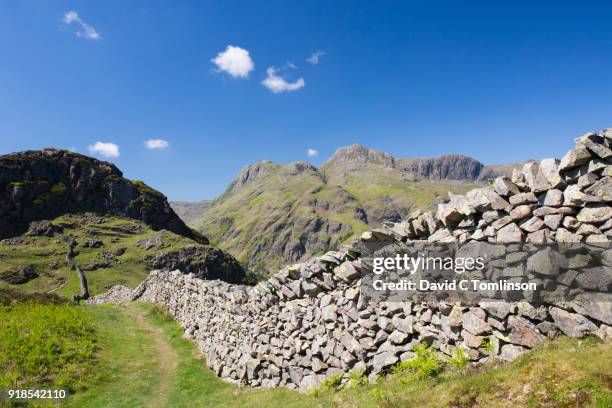 view along dry stone wall to the langdale pikes, great langdale, lake district national park, cumbria, england, uk - langdale pikes stock pictures, royalty-free photos & images