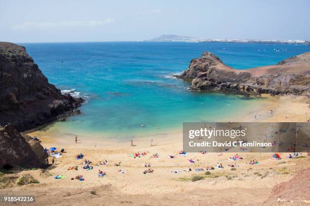 view over playa del papagayo, playa blanca, lanzarote, canary islands, spain - lanzarote stock pictures, royalty-free photos & images