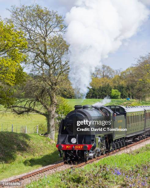 steam locomotive on the bluebell railway line, horsted keynes, west sussex, england, uk - history and progress of the steam engine stock pictures, royalty-free photos & images
