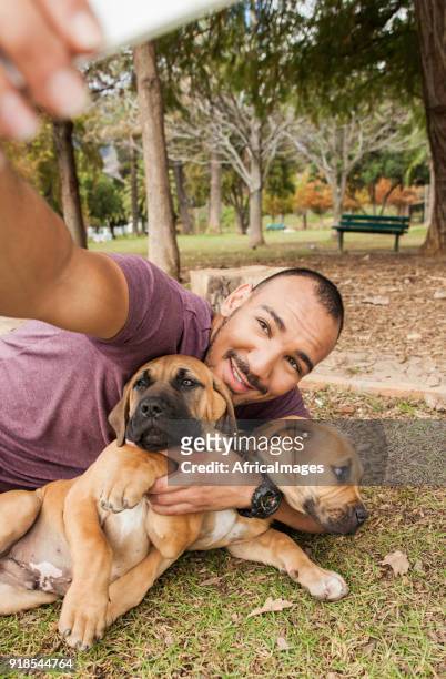 young man laying on the grass taking selfies of him and his puppies. - boerboel stock pictures, royalty-free photos & images