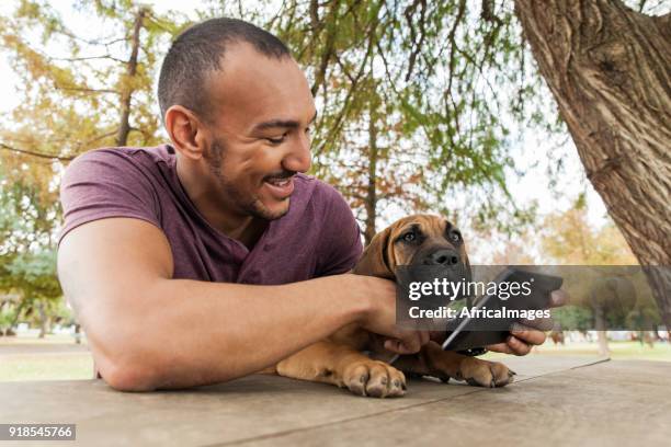 young male holding a digital tablet with his puppy on his lap. - boerboel stock pictures, royalty-free photos & images