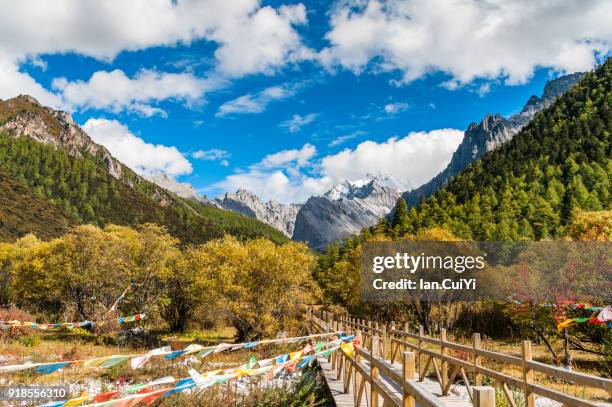 beautiful nature of colorful autumn in yading national level reserve, daocheng, sichuan province, china. - yading nature reserve stock pictures, royalty-free photos & images