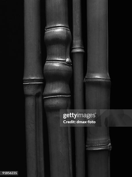 bamboo detail in black and white - black bamboo stock pictures, royalty-free photos & images