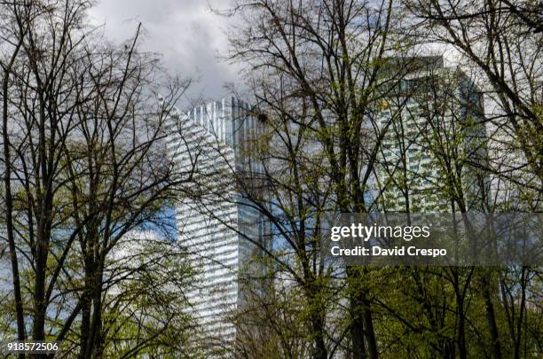 trees - warsaw spire stock pictures, royalty-free photos & images