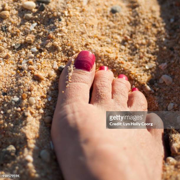 foot in sand - lyn holly coorg stock-fotos und bilder