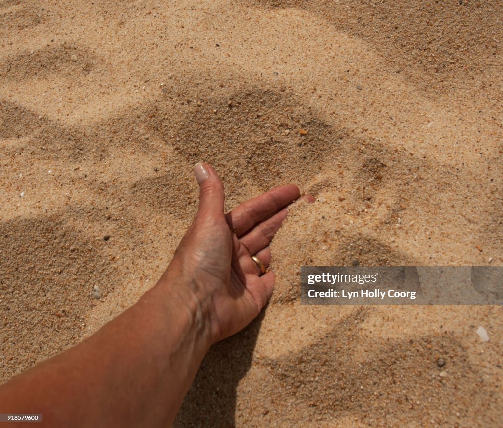 Macro of hand in sand