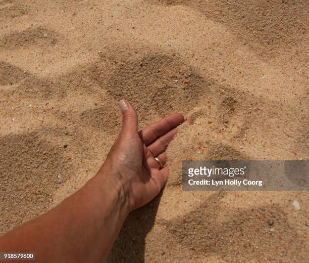 macro of hand in sand - lyn holly coorg stock-fotos und bilder