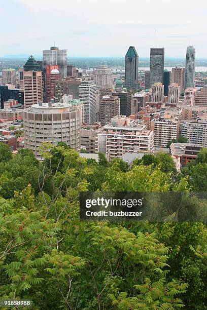 urban summer - montreal city stockfoto's en -beelden